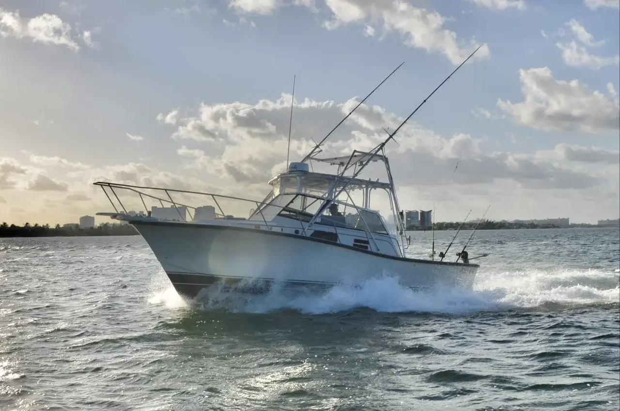 BERTRAM 35 Ft, photo 3