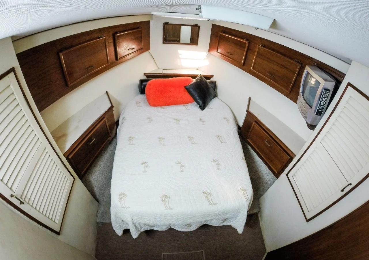 BERTRAM 38, photo 7