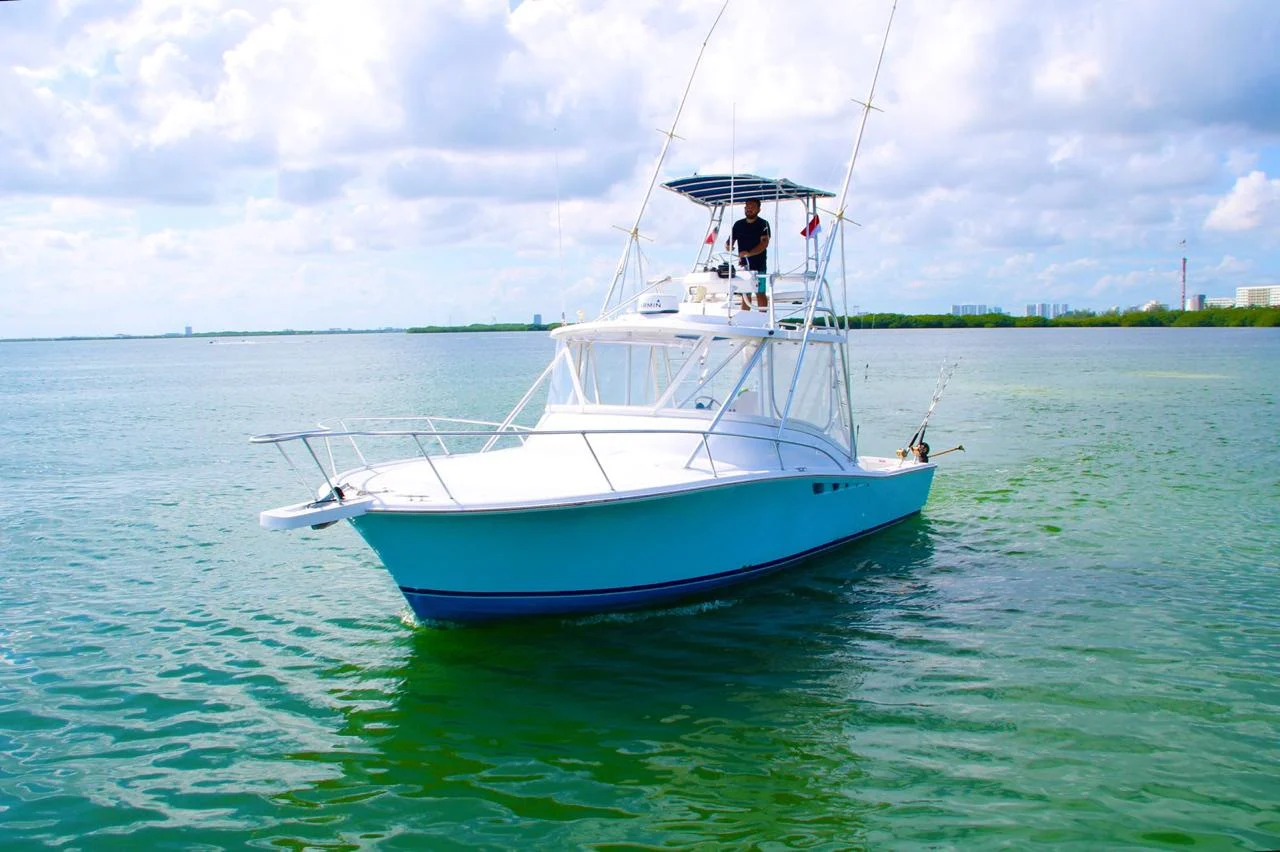 Bertram 32 ft, photo 11